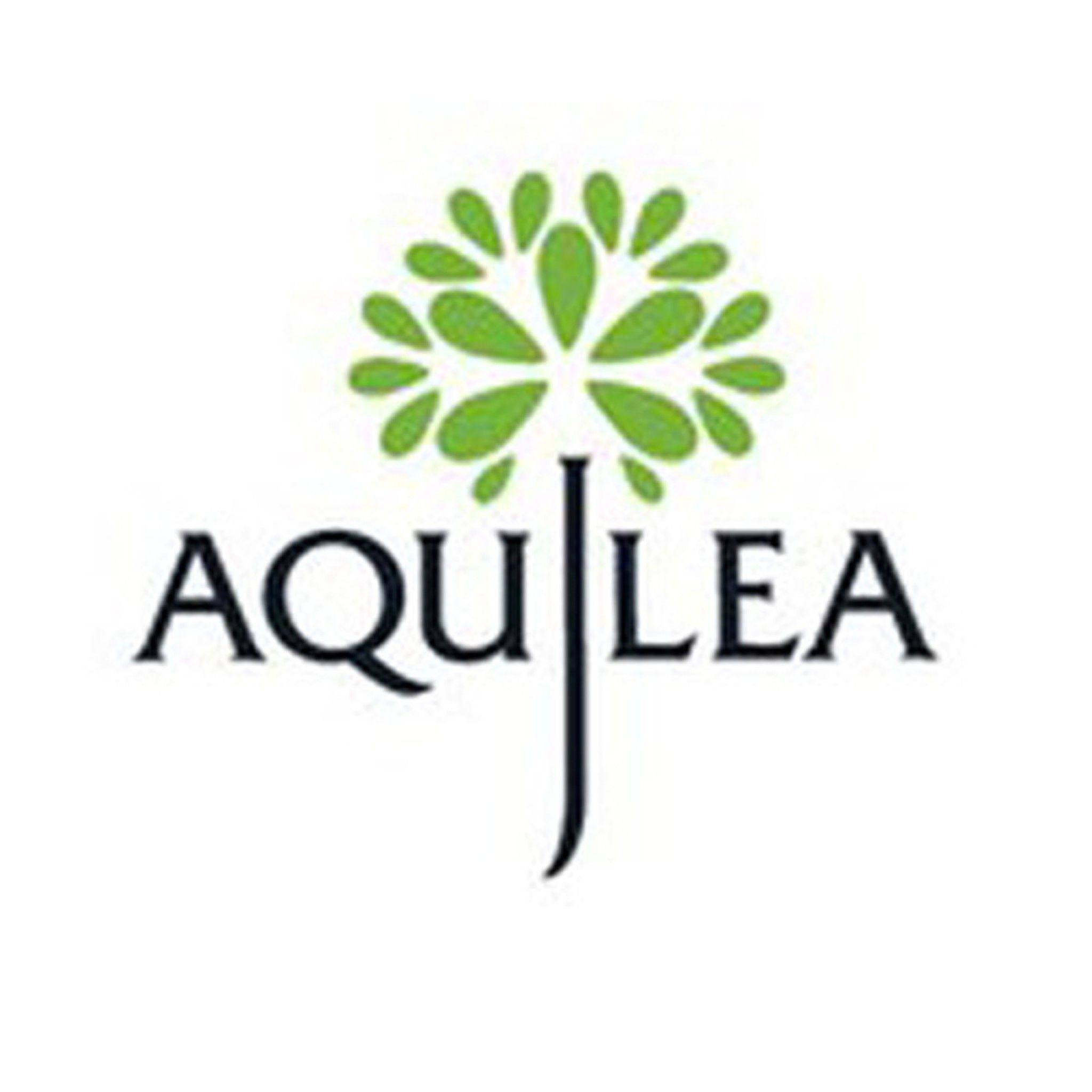aquilea