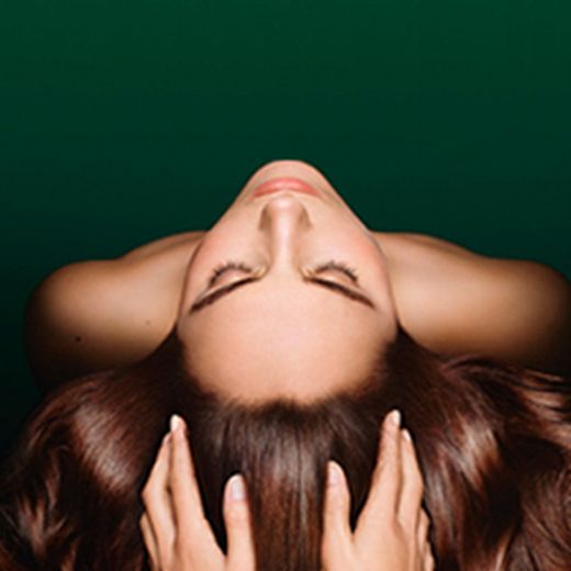 Embellidors Cabell Sec