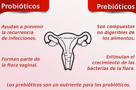 Prebióticos y Probióticos Vaginales