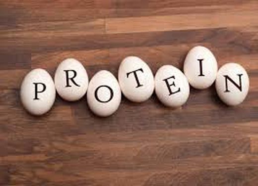 Proteinas