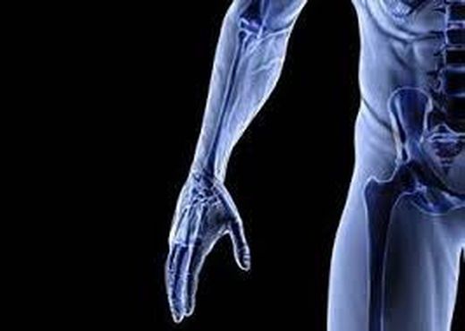 Suplementos para mantenimiento