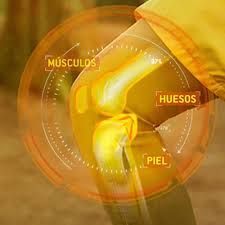 aquilea articulaciones forte-dol intensive 20 sticks