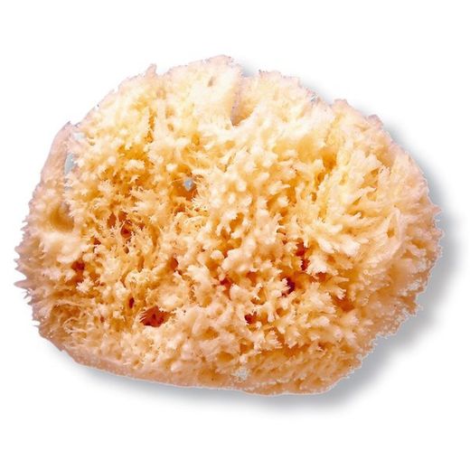 Esponja Natural Suavinex