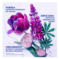 Phyto Phytocyane Intensivo Mujer 12 U