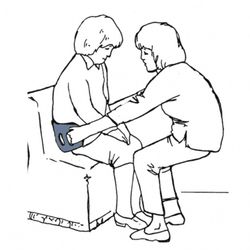 Transfert flexible AD 8800